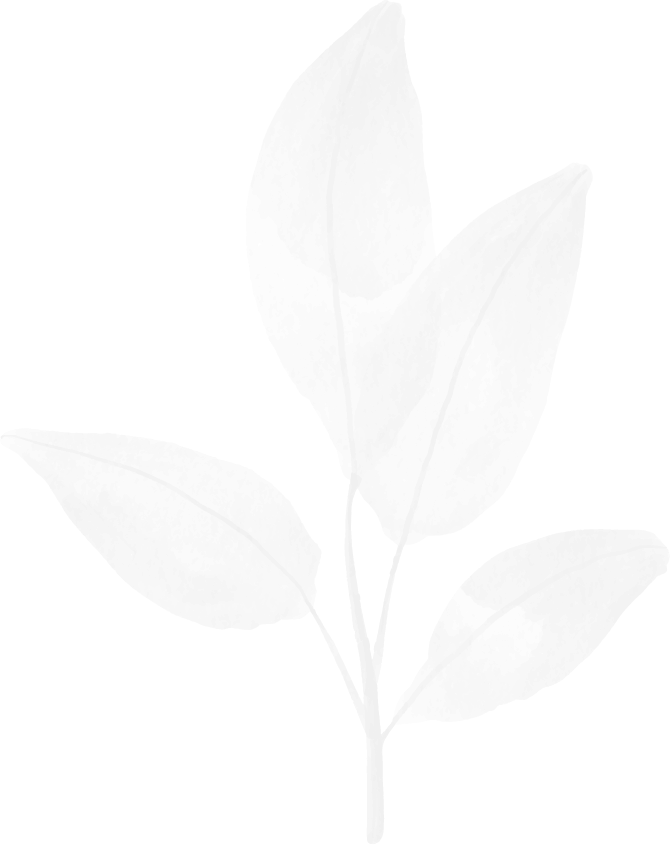 https://bestattungen-himmelsblick.de/wp-content/uploads/2024/01/flower_02.png